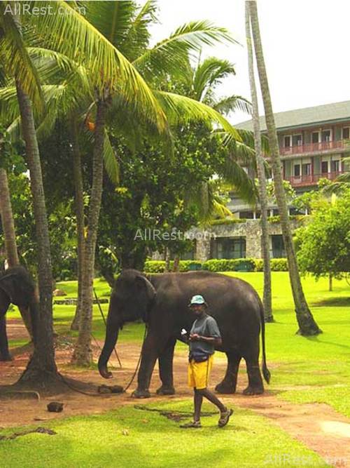 Bentota Beach Hotel 15